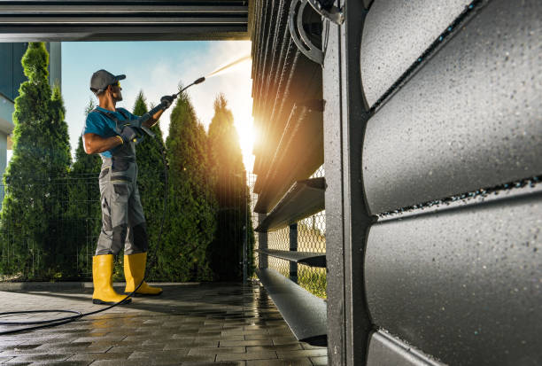 Best Roof Washing  in Monte Alto, TX